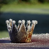 couronne avec gifre